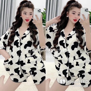 Bộ đùi lụa mango bò sữa sieu hot hit, bộ đùi cánh dơi