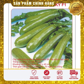 Hạt Giống Bí Ngòi Xanh ( 10 Hạt )
