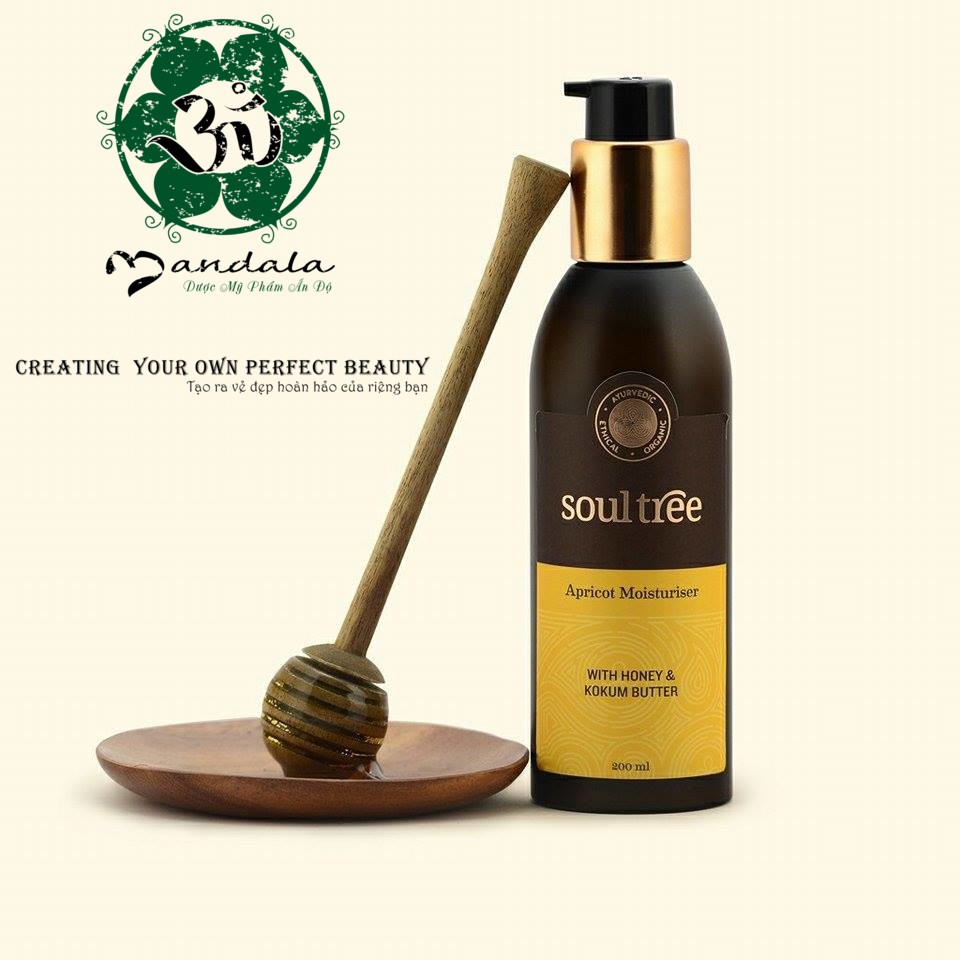 Dưỡng ẩm quả mơ Soultree mini