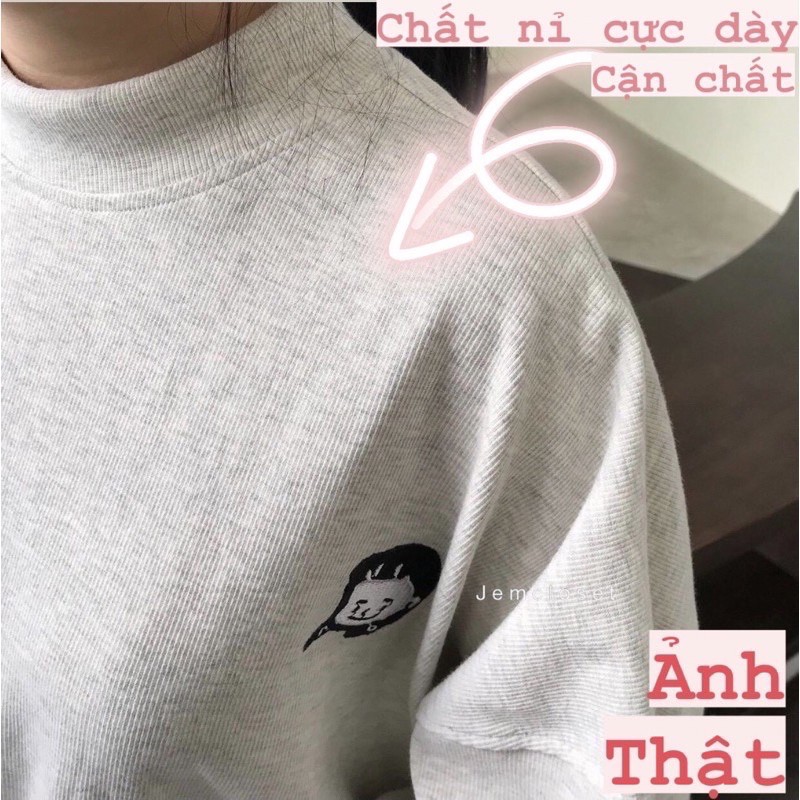 ÁO NỈ DÀI TAY, SWEATER NAM NỮ FORM RỘNG ULZZANG , ÁO HOODIE QUẢNG CHÂU CAO CẤP