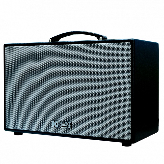 Loa Karaoke mini xách tay ACNOS CS250SON - SƠN SẦN, CS250PU - ACNOS CS250