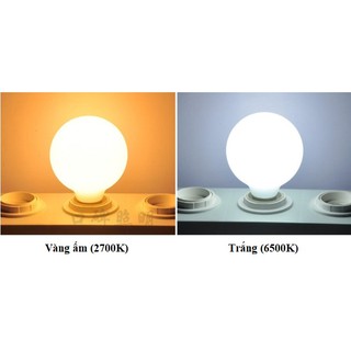 Bóng đèn Led thủy tinh đục G80 7w đui E27 HL Studio