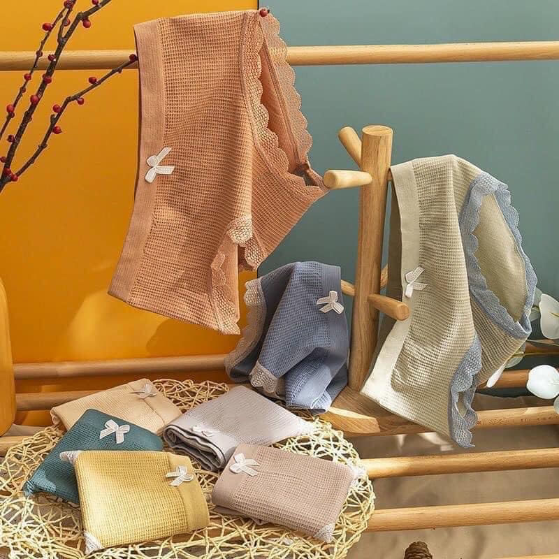 Combo 10 Quần cotton thông hơi co giãn 4 chiều mã 3325