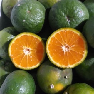 Cam Sành Vĩnh long 3kg-5kg