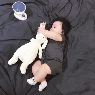 Thỏ, voi, gấu, cừu bông cho bé