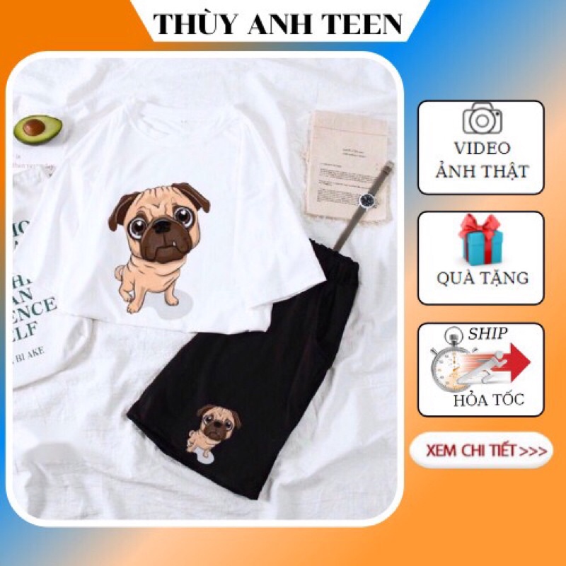 Set bộ áo thun tay lỡ hoạt hình kèm quần sooc, bộ short đùi in hình cartoon, bộ mặc nhà cute hình chú cún