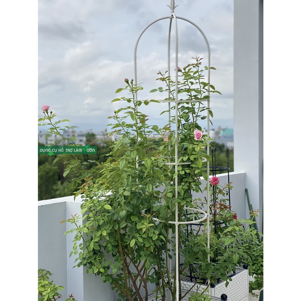 Giá đỡ hoa hồng leo - Cao 2,1 met -Khung trồng hồng leo Daim -Japan - hình tháp chuông - khung lồng chim