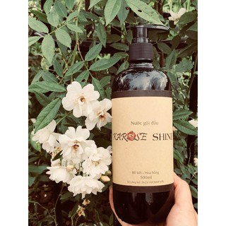 Nước gội KAROSE SHINE