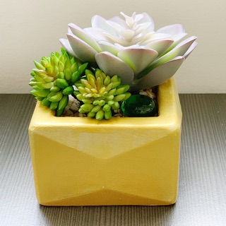 Chậu hoa sen đá giả dùng để trang trí nhà cửa, văn phòng,...