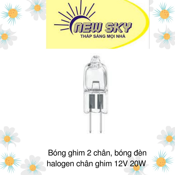 Bóng ghim 2 chân, bóng đèn halogen chân ghim 12V 20W