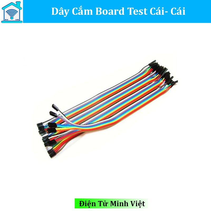 Dây Cắm Board Test Cái Cái 20Cm (40 Sợi)