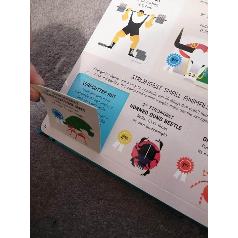 Sách Usborne - Lift the Flap Biggest Fastest Tallest - To nhất, nhanh nhất, cao nhất cho bé
