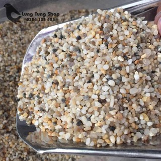 1 kg Sỏi suối nhỏ trải nền hồ cá thủy sinh