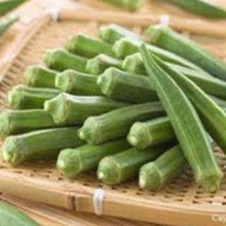 20gram HẠT GIỐNG ĐẬU BẮP
