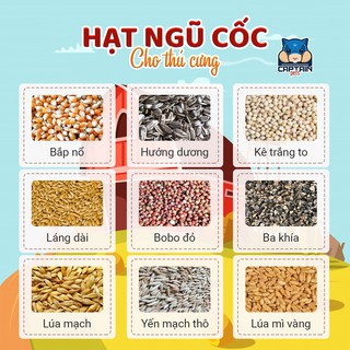 200g hạt ngũ cốc lẻ cho Hamster, chim, gà,..
