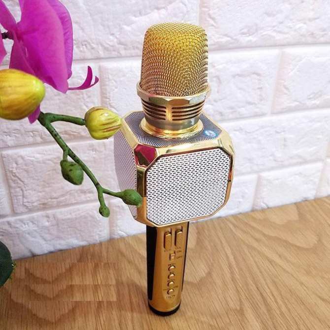 Micro Karaoke Kiêm Loa Bluetooth Sd10 Chính Hãng