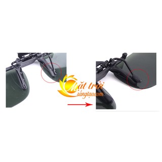 Mắt kính phân cực BERTHA