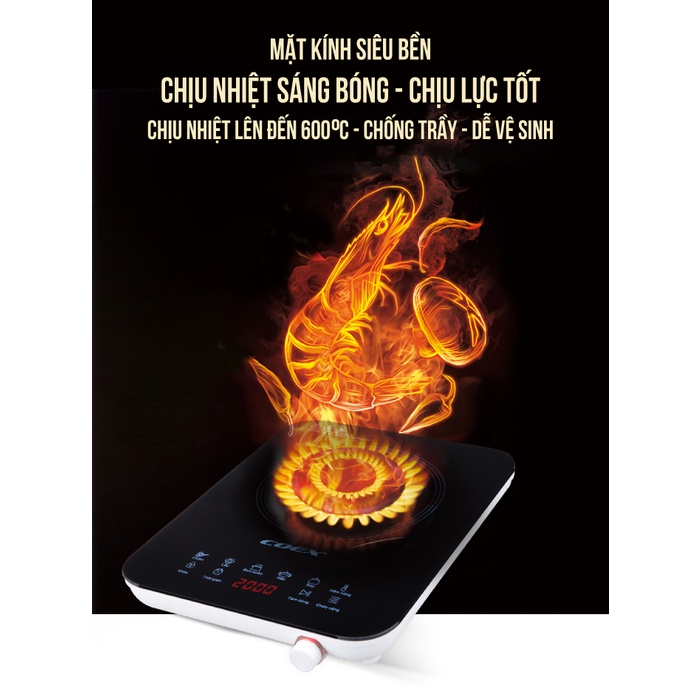 Bếp từ cảm ứng đa năng Coex CI-3308