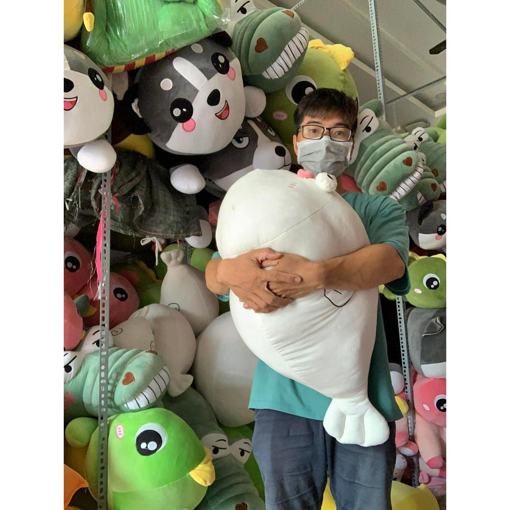 GẤU BÔNG CÁ NÓC MẶT NGÁO NGƠ, CÁ NÓC TRẦM CẢM, CÁ NÓC MẶT NGU NGƠ