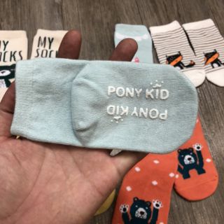 Combo 5 đôi tất PONY Kid siêu xinh