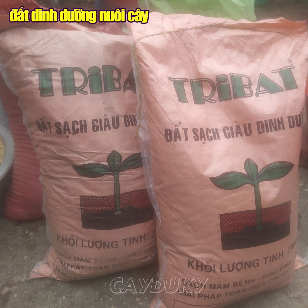 1 kg đất sạch trồng cây cảnh mini (Hỗn hợp đất trộn TRIBAT trồng rau sạch trong chậu)