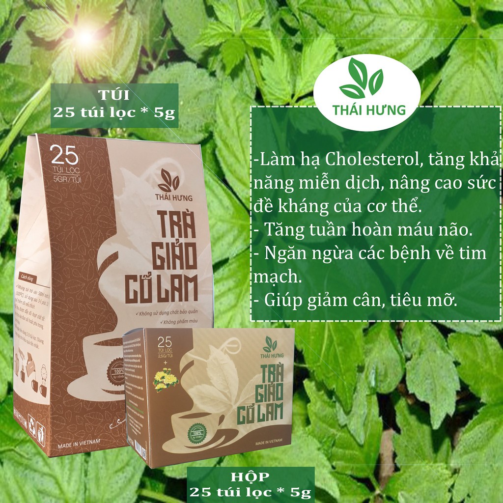 [CHÍNH HÃNG] Trà Giảo Cổ Lam Thái Hưng (trà thảo dược, 100% tự nhiên, dạng túi) - hạ mỡ máu, giảm cân