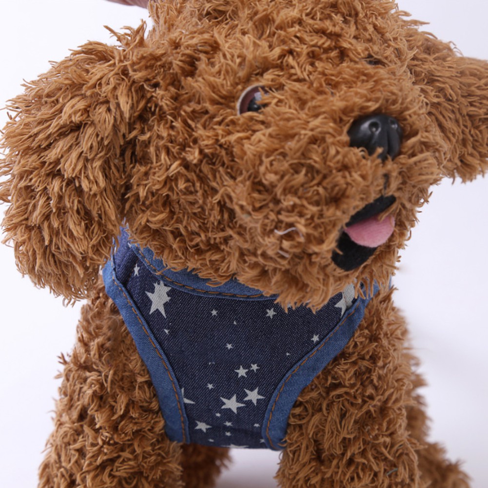 Vòng Cổ Và Dây Dắt Thú Cưng Đi Dạo Đáng Yêu