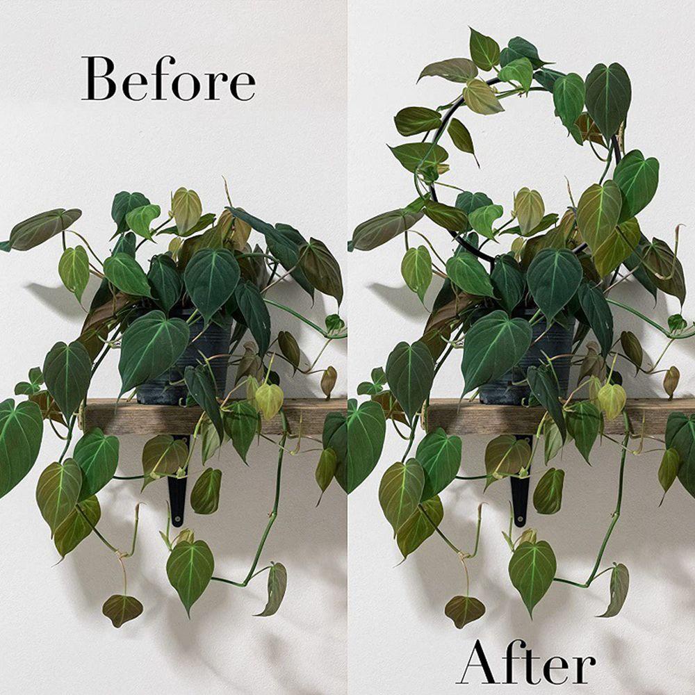 Giá Đỡ Trồng Cây Hình Tam Giác Bằng Kim Loại Chống Rỉ Đa Năng