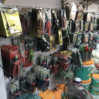 Kìm mỏ quạ