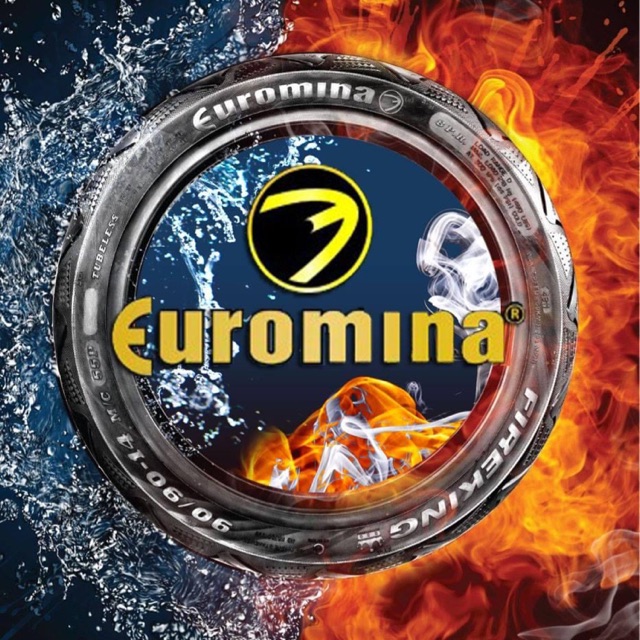 CASUMINA EUROMINA OFFICIAL