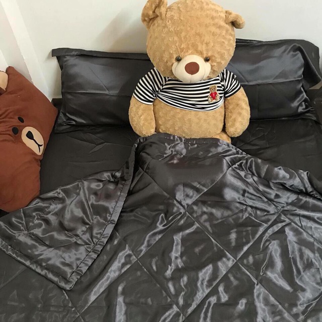 GA PHI LỤA Nệm 1m6, 1m8 / 1 ga bọc chun | BigBuy360 - bigbuy360.vn