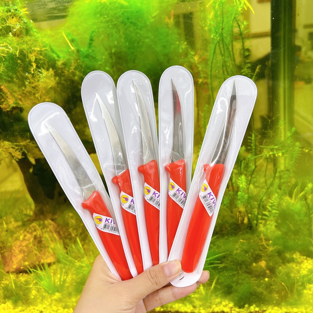 Dao Tỉa Rau Củ Quả Kiwi - Dao khắc Trái Cây bằng thép không gỉ CHÍNH HÃNG