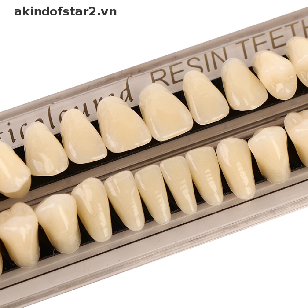 [Hàng mới về] Hộp 28 răng giả bằng nhựa resin chất lượng cao