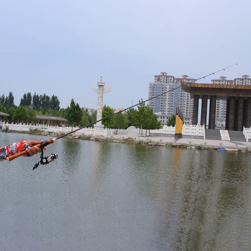 Cần Câu Cá Cần Câu Máy ngang Lure Fishing Rod 1.68-2.1m