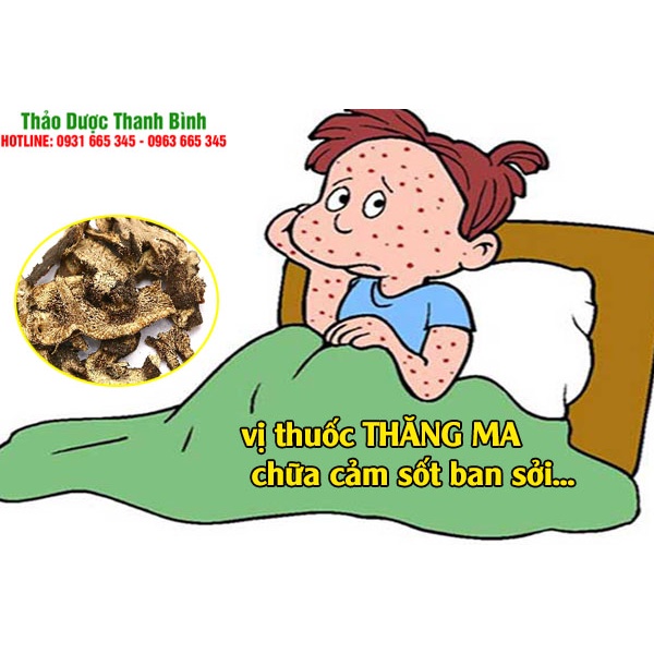 Thăng Ma Gói 1Kg Hàng Loại 1