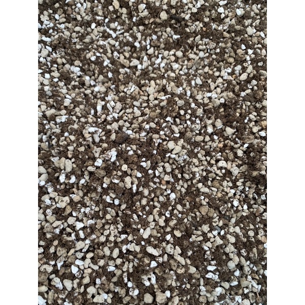 Đất trộn trồng sen đá, xương rồng