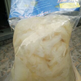 Chân sứa biển mặn