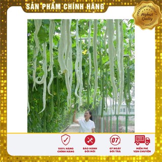 Hạt giống quả Mướp Rắn Mướp Nhật Dài ( gói 05 hạt)