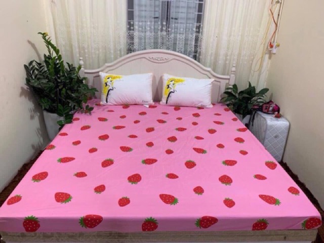 Ga chống thấm cotton 100%