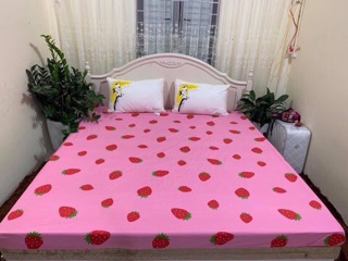ga chống thấm cotton 100%