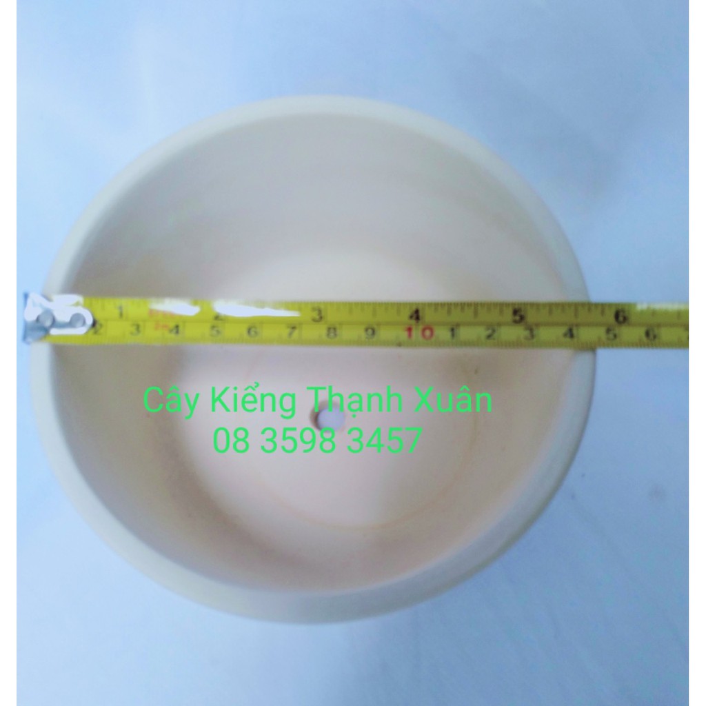 Chậu trồng cây sen đá xương rồng , Chậu đất nung trồng cây cảnh, Cây để bàn mini màu trắng đường kính miệng Chậu 14,5 cm