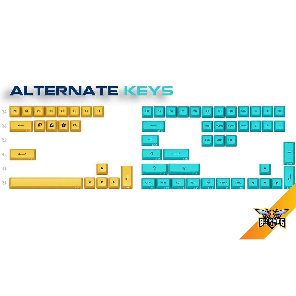 Bộ keycap AKKO Macaw (Chất liệu PBT Double Shot, ASA Profile, 199 nút)