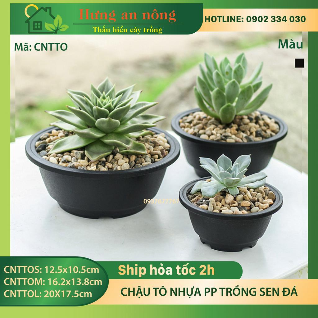 CNTTO - chậu tô nhựa PP cao cấp chắc chắn chuyên trồng cây sen đá xương, bonsai, cây để bàn, co 3 size