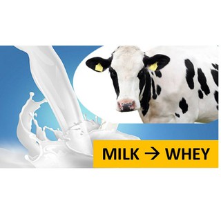 BỘT WHEY PROTEIN CONCENTRATE 80