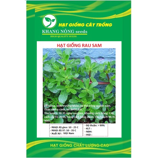 Hạt giống rau sam đất KNS306 - Gói 2gram