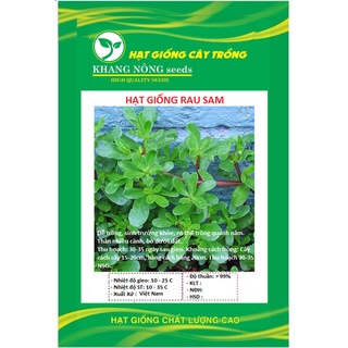Hạt giống rau sam đất kns306 - gói 2gram