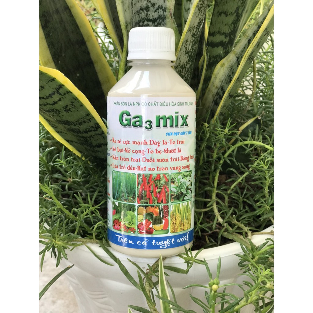 phân bón lá Ga3 mix ra rễ cực mạnh dày lá to trái nở bụi