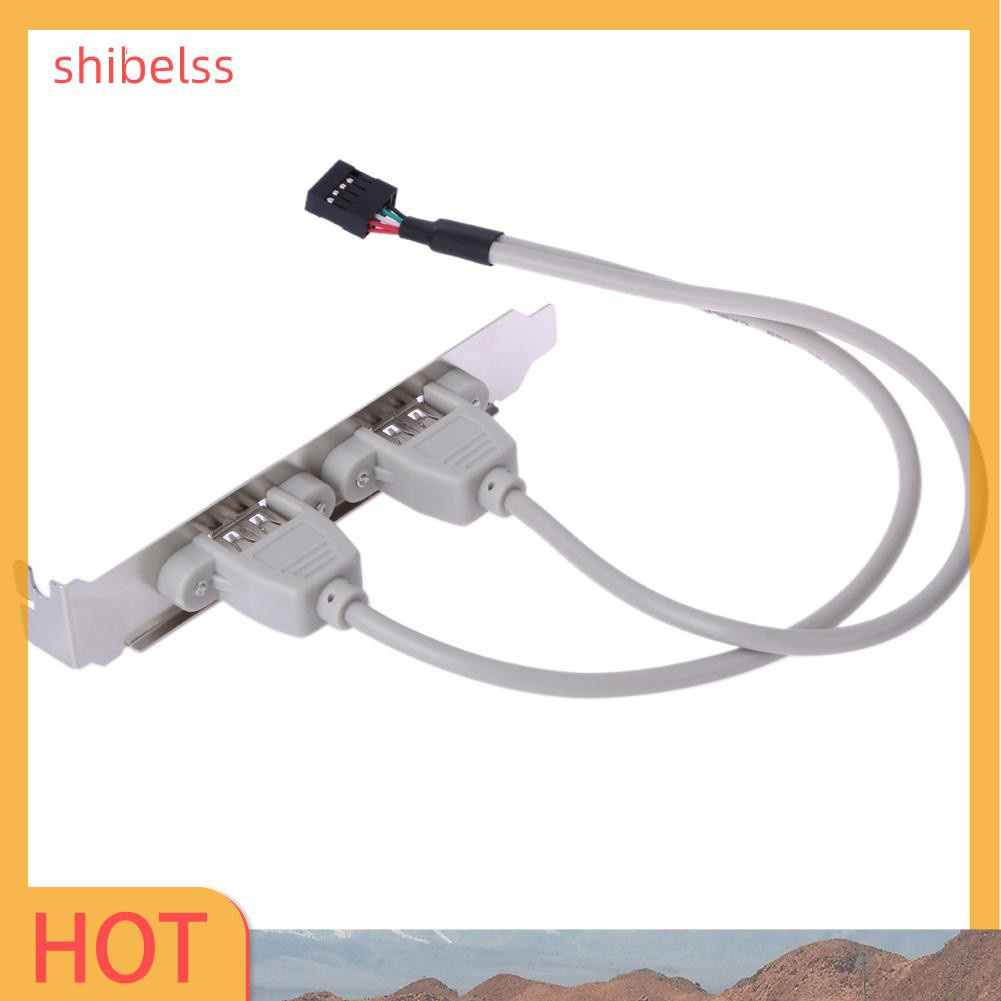 Cáp Nối Bo Mạch Chủ 2 Cổng Usb 2.0 Shibelss