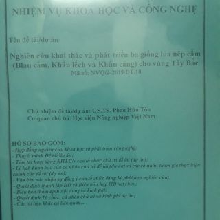 Gạo Nếp Cẩm Điện Biên