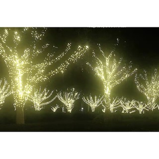 Đèn Led Nhấp Nháy Dài 10m- Đèn Led Trang Trí  Sinh Nhật Phòng Cưới rắc cắm chân tròn chắc chắn